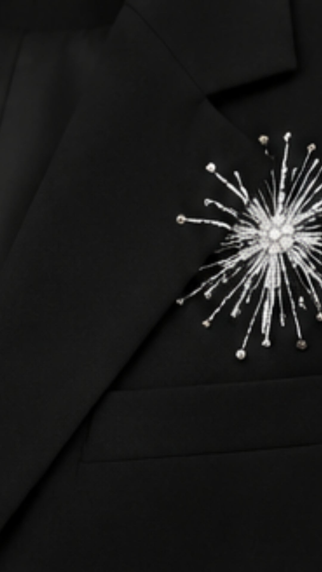 STARDUST Embellished Blazer – Black