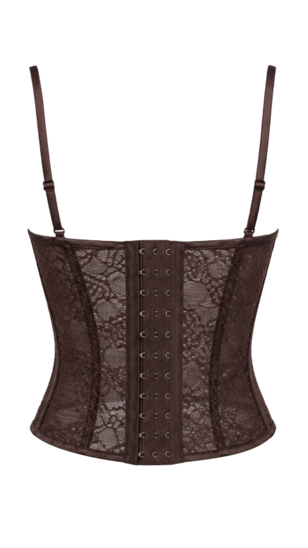 Chocolate Muse Lace Corset