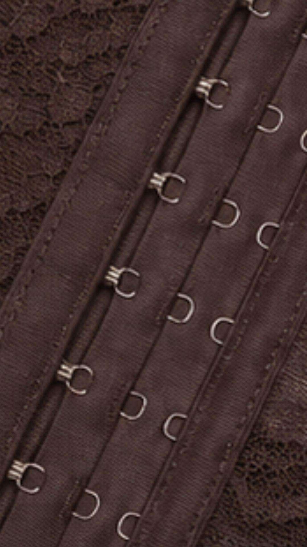 Chocolate Muse Lace Corset